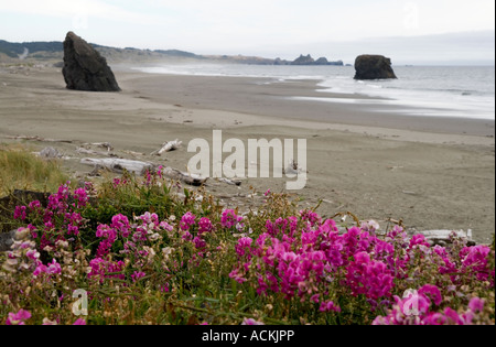 Meyers Creek Beach, Pistol River State Park, Oregon Stockfoto