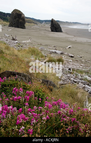 Meyers Creek Beach, Pistol River State Park, Oregon Stockfoto