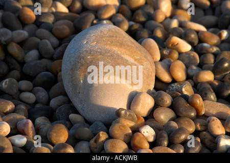 Grossen Kiesel auf einen Kieselstrand am Chesil Beach Nr Weymouth Dorset im Schatten der im Abendlicht Stockfoto