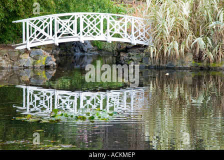 Eine hölzerne Bogenbrücke über ein Wasserspiel im Tasmanischen Royal Botanical Gardens Stockfoto