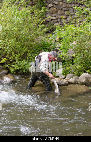 Fischer fängt Fisch beim Fliegenfischen auf Little Pigeon River in Gatlinburg, Tennessee, USA Stockfoto