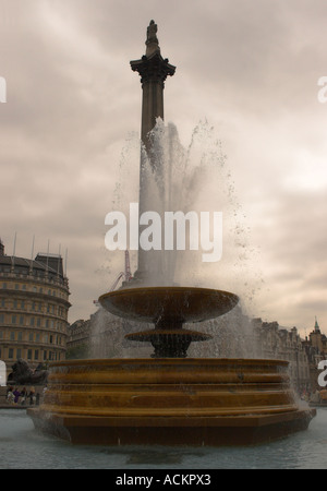 Nelsons Säule Trafalgar Square und London Brunnen Stockfoto