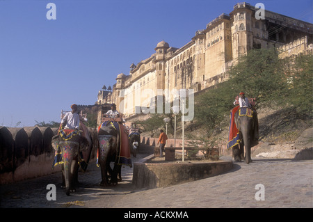 Absteigend nach die Touristen über die Rampe zum Amber Fort in Jaipur Rajasthan Indien Elefanten Stockfoto