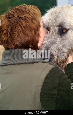 Internationale Messe der Hunderasse in Banska Bystrica, Slowakei, Hund portrait Stockfoto