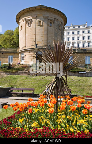 Rotunde-Museum und im Frühling Blumen in Scarborough North Yorkshire UK Stockfoto