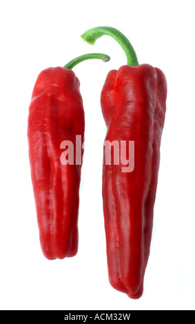 Spitzen Paprika Stockfoto
