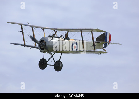 Sopwith Pup 1916 RFC Kämpfer Stockfoto