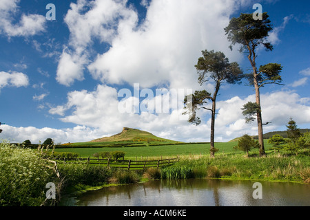 Nähe von Aireyholme Farm in der Nähe von Great Ayton North York Moors National Park England Topping Stockfoto