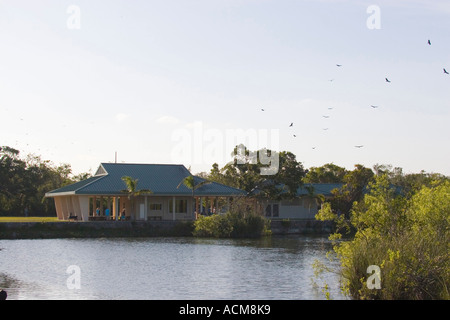 Geier fliegen über Royal Palm Besucher center Florida Everglades Nationalpark Stockfoto