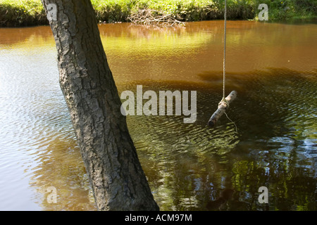 Seil Schaukel hängen über den Highland Wasserstrahl Balmer Rasen Brockenhurst New Forest Stockfoto