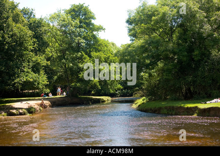 Die Highland Wasserstrom führt vorbei an Balmer Rasen Brockenhurst New Forest Stockfoto