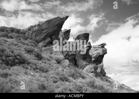 Die Kakerlaken, Henne Cloud und Ramshaw Felsen Staffordshire Honstein crags Stockfoto