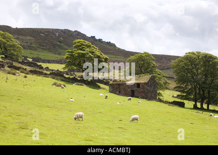 Kakerlaken, Henne Cloud und Ramshaw Rocks  Staffordshire Gritstone Klippen Stockfoto