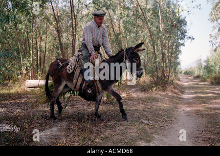 Ältere Mann reitet seinen Esel tragen Hafer aus den Feldern in der Nähe von einem kleinen ländlichen Dorf im Südwesten der Türkei Akyaka... Stockfoto