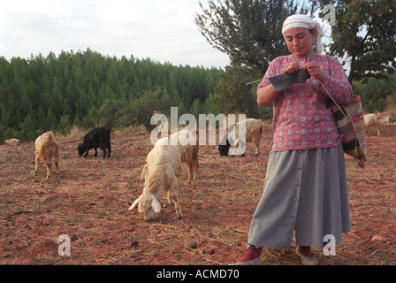 junge Frau beim neigen ihre Ziegen im ländlichen Bereich der südwestlichen Türkei stricken. Stockfoto