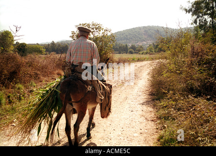 Ältere Mann reitet seinen Esel tragen Hafer aus den Feldern in der Nähe von einem kleinen ländlichen Dorf im Südwesten der Türkei Akyaka... Stockfoto