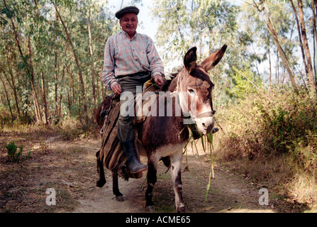 Ältere Mann reitet seinen Esel tragen Hafer aus den Feldern in der Nähe von einem kleinen ländlichen Dorf im Südwesten der Türkei Akyaka... Stockfoto