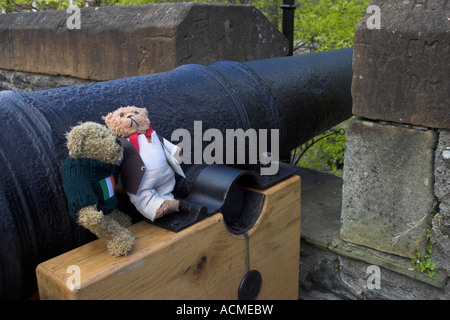 Blarni und Beni zwei Teddybären auf eine Kanone auf der Stadtmauer in Nordirland Derry Co Londonderry Stockfoto