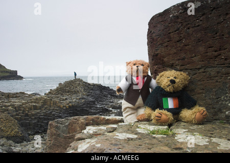 Beni und Blarni bei Giants Causeway Beni und Blarni zwei Teddybären besuchen Giants Causeway Co Antrim-Nordirland Stockfoto