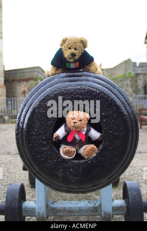 Beni und Blarni zwei Teddybären auf 19. Jahrhundert Kanone The Grand Batterie von Carrickfergus Castle Stockfoto