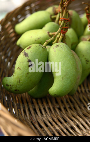Grünen Mangos im Bambuskorb Stockfoto
