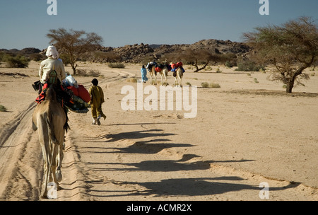 Kamel Zug Stockfoto