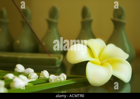 ingradient für eine massage Stockfoto