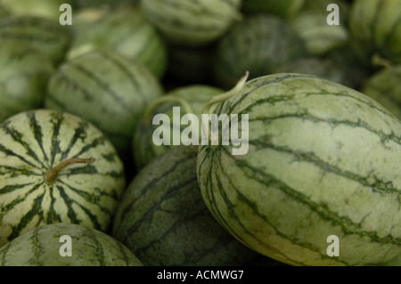 Nahaufnahme von Haufen von Wassermelonen Stockfoto