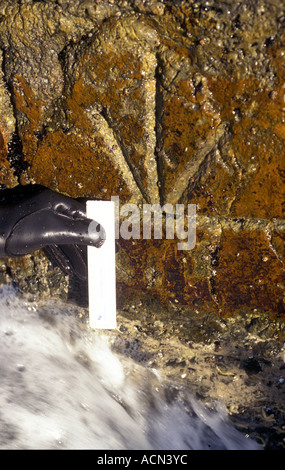 Flut Mark Schneiden von Thomas Lempriere in Port Arthur Tasmanien Australien im 1850 s Foto von Bruce Miller Stockfoto