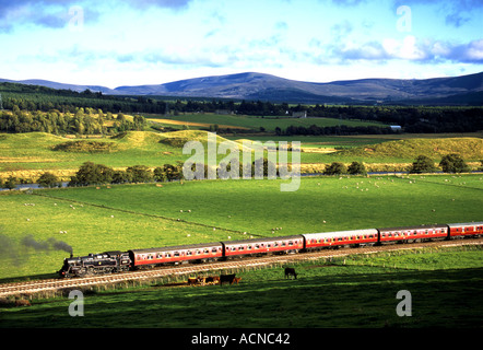 Ankunft am Broomhill Bahnhof von Boat of Garten Dampfzug Stockfoto