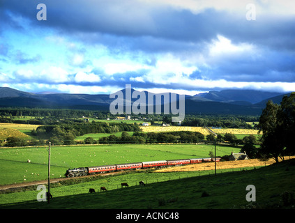 Die Strathspey Railway Dampflok Broomhill von Aviemore und Boat of Garten angekommen Stockfoto