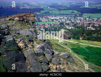 Kuh und Kalb Ilkley Moor und Ilkley Yorkshire Stockfoto