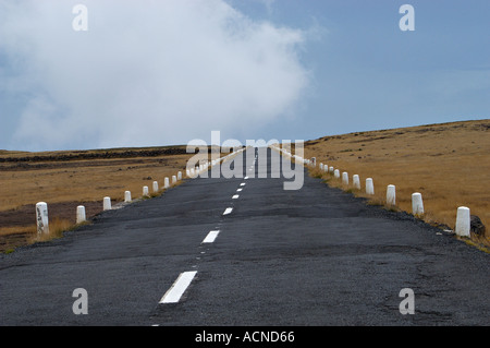 Landstraße, Paul da Serra, Madeira Stockfoto