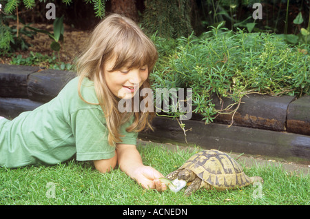 Mädchen, die Fütterung Hermanns Schildkröte (Testudo Hermanni) in einem Garten Stockfoto