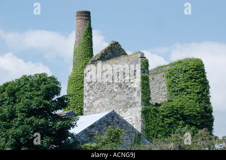 Efeu bedeckt Ruinen der Wheal beschäftigt Maschinenhaus, Chacewater Cornwall UK Stockfoto