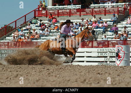 Cowgirl in Aktion auf einem Pferd an einem rodeo.town Cheyenne, Wyoming, Usa Hut alte West Mädchen Usa Pferde rodeo Stockfoto