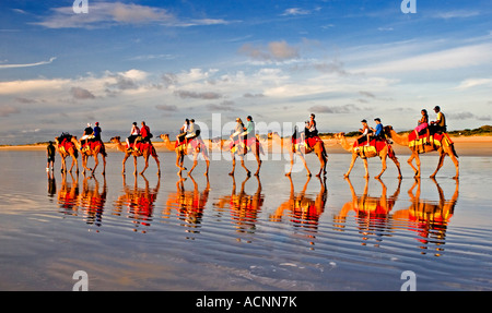 Kamelritt am Cable Beach in Broome, Western Australia, Australia Stockfoto