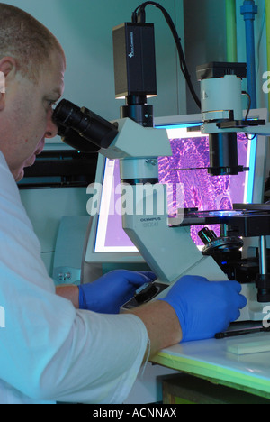 Techniker mit einem molekularen Biologie Mikroskop im Labor Stockfoto