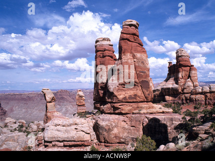 Nadeln Canyonlands National Park Utah, USA Stockfoto