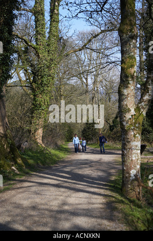 Familie zu Fuß im Gelände von Dinefwr Castle, in der Nähe von Llandeilo, Carmarthenshire, Wales, UK Stockfoto