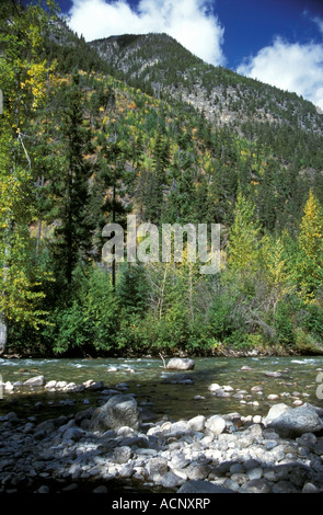 Fluß unterhalb eines bewaldeten Berghang in den kanadischen Rockies Stockfoto