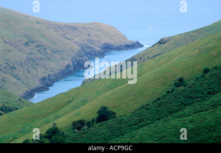 Floh-Bucht in der Nähe von Akaroa Canterbury Südinsel Neuseeland Stockfoto