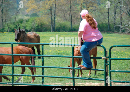 Sehr große Frau auf Zaun Dude Ranch in dem Land gerade Vieh Roundup von cowboys Stockfoto