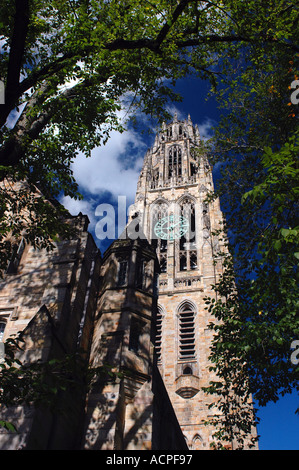 Harkness Turm Yale University Campus College Stockfoto