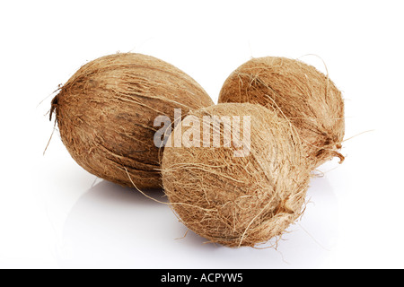 Kokosnüsse, close-up Stockfoto