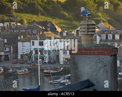 Mevagissey in Cornwall Stockfoto