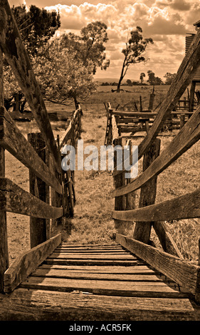 auf der Suche nach unten die alte Schafe Rennen laden oder ausführen, um den Paddocks jenseits in sepia Stockfoto