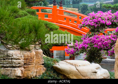 Vermilion Brücke in Hongkong Nan Lian Garden Chi Lin Nunnery Stockfoto