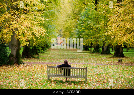 Eine Frau sitzt auf einer Bank unter Herbst Bäume im Westonbirt Arboretum Gloucestershire UK Stockfoto