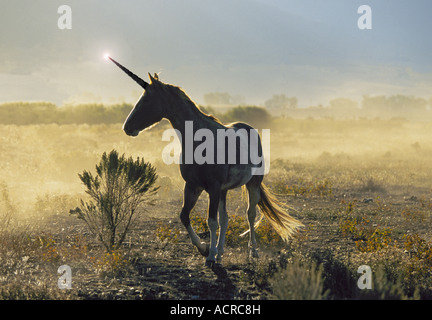 Das Einhorn ist ein legendäres Tier, das im Laufe der Geschichte und davor als Pferdetier mit einem einzigen Horn beschrieben wurde, das aus seinem Kopf hervorragt. Stockfoto